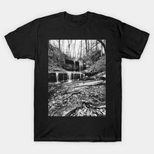 Grassy Creek Falls black and white T-Shirt